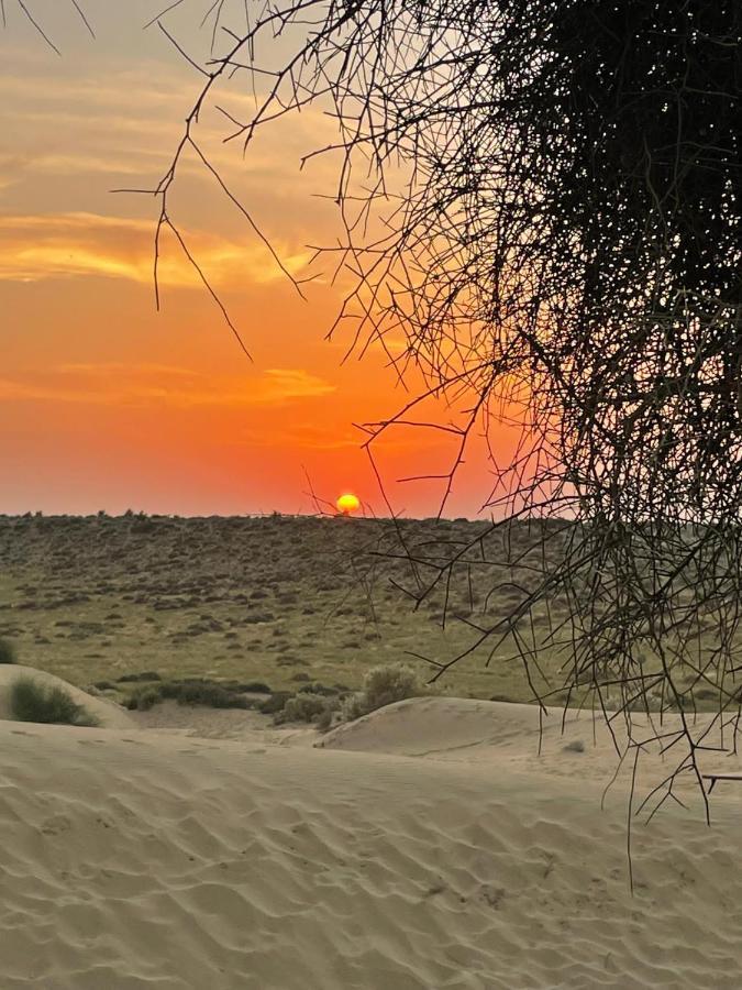 Kings Villa Jaisalmer Buitenkant foto